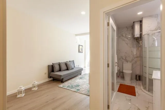 Feel at Home - Largo do Paço apartment view 8